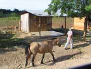 Honduras country life